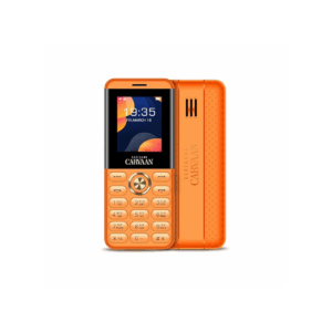 SAREGAMA Carvaan Mobile Hindi Don M12 with 1000 Pre-Loaded Songs  (Iris Orange)