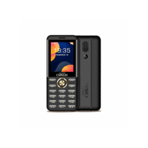 SAREGAMA Carvaan Mobile Hindi Don M22 with 1000 Pre-Loaded Songs  (Classic Black)